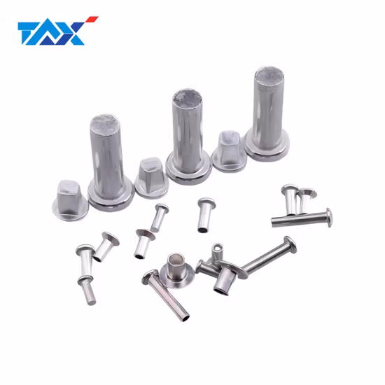 Stainless Steel Solid or Tubular Rivet
